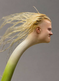 Onion